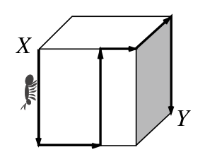Figure for this problem